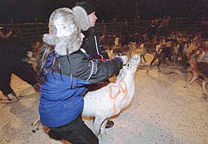 Photo: Veikko Aitamurto