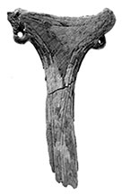 Museovirasto